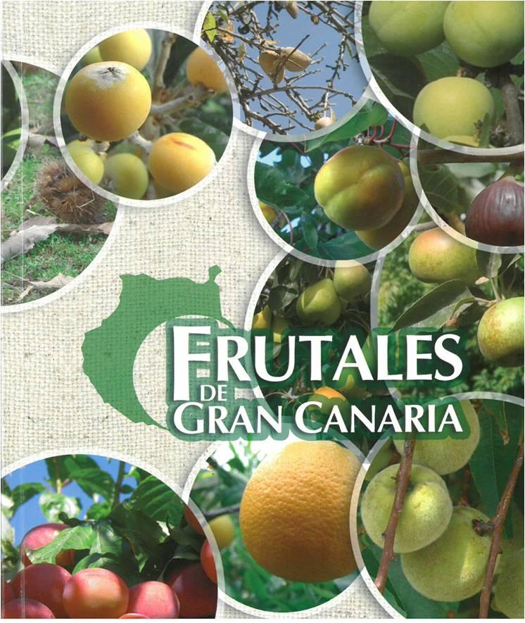 Portada de la publicación