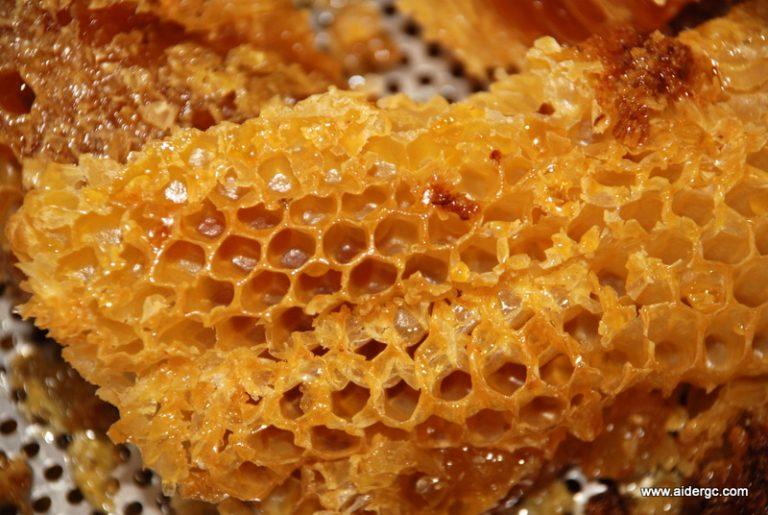 Foto de un panal de miel