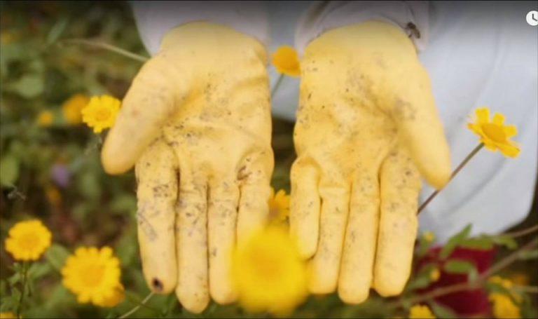 Foto de manos de mujer
